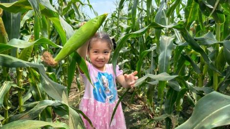 暑假來嘉義！多元「親子體驗行程」等你來參與