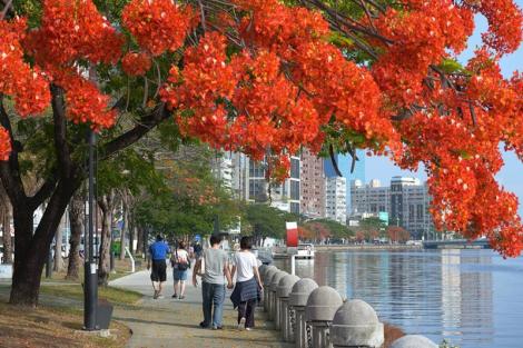 漫遊愛河體驗新風貌　河西市集周末登場