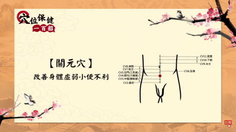 一穴搞定所有胃相關！