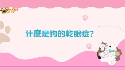 什麼是狗的乾眼症？