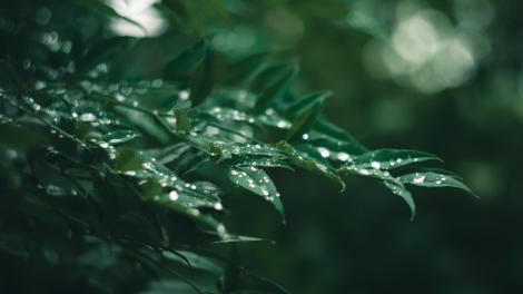 東北季風吹拂  「這兩地」今天局部短暫雨