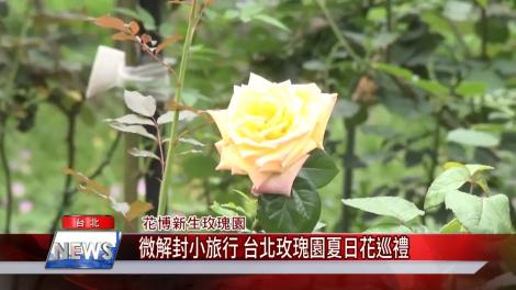 微解封小旅行 台北玫瑰園夏日花巡禮