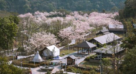 餐飲、滑水、露營！暢遊高雄　「加食延暢」推薦風景區商家超優惠