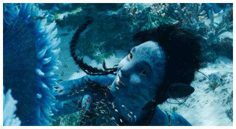 CMusic X《阿凡達：水之道》電影配樂