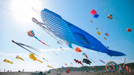 2024旗津風箏節試飛美照曝光！7/20邀你來Chill一夏