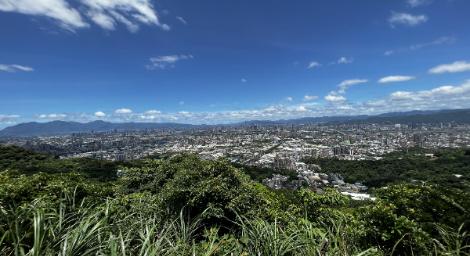 整修樹林觀景平台　再現新北山城市美景