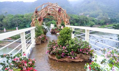 花開落籽、青農返鄉！　邀民眾走訪新北萬金感受杜鵑之美