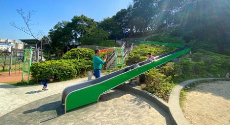 國際身心障礙者日　新北公園有愛無礙好好玩