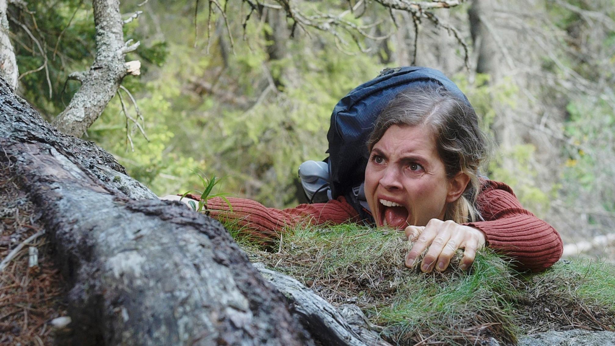 一張含有 戶外, 樹狀, 草, 石頭 的圖片
自動產生的描述