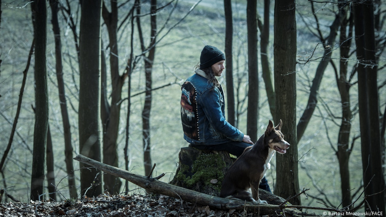 一張含有 樹狀, 戶外, 哺乳動物 的圖片

自動產生的描述